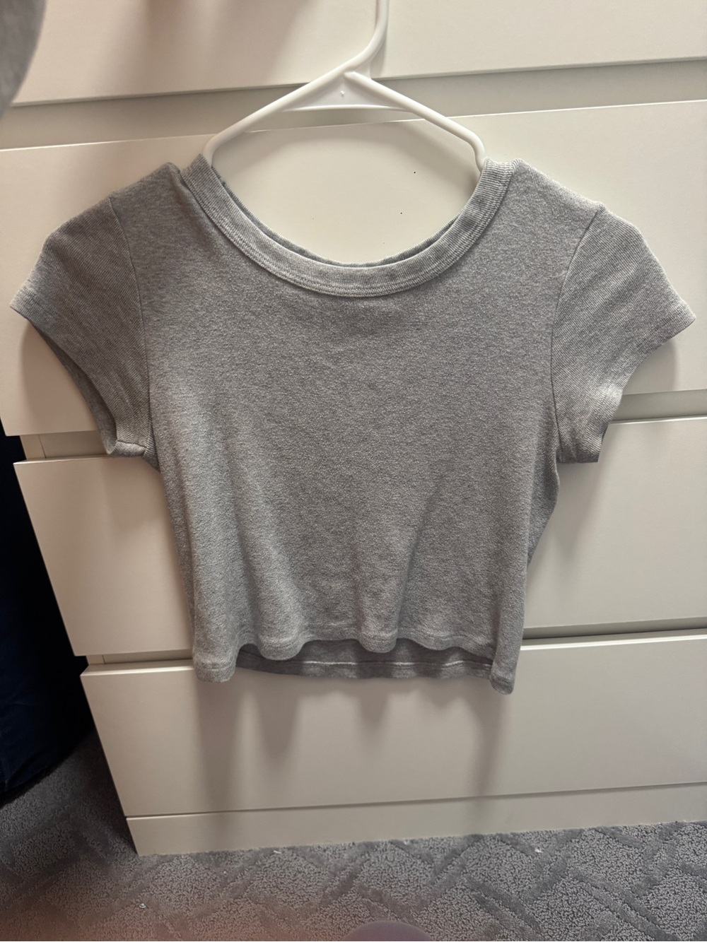 Brandy Melville Light Gray Crop Tee